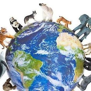 Meet your Posher, Allan